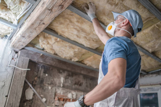 Trusted Diaz, AR Insulation Contractor Experts