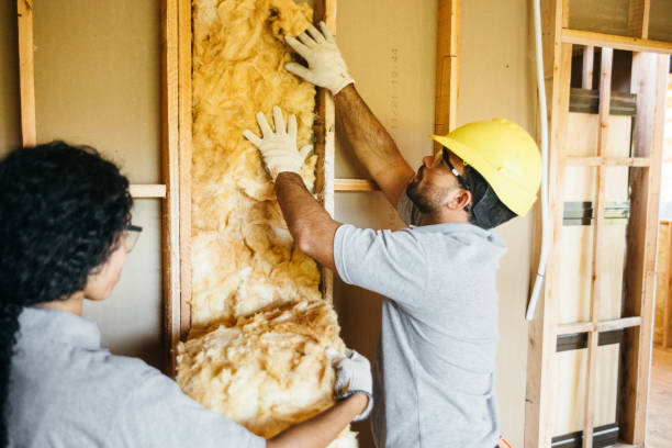 Best Blown-in Insulation  in Diaz, AR