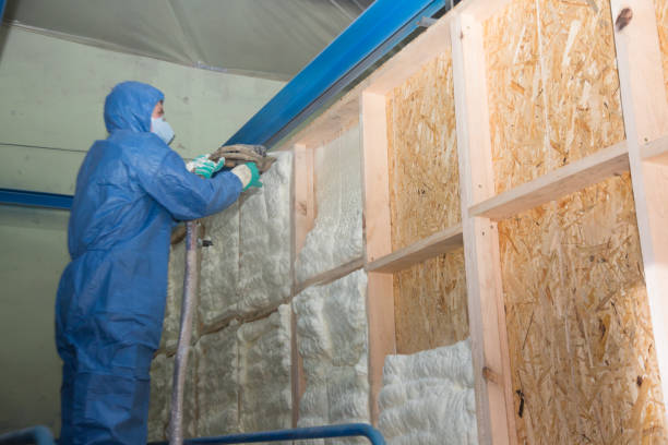 Insulation Inspection Services in Diaz, AR